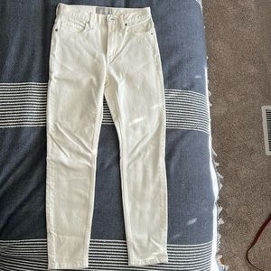 Everlane Ankle Skinny Jeans